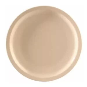 100 Platos De Melamina De 16.5 Cm Restaurantes Escuelas